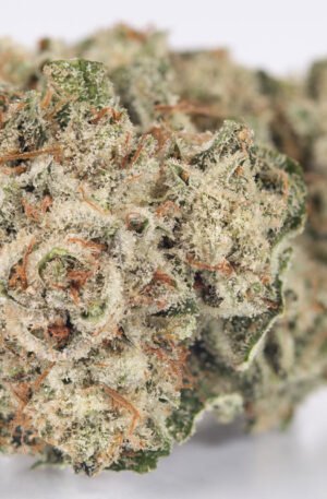 Gorilla Glue #4