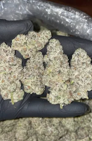 Amnesia Haze (28g)