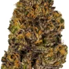 Grandy-Daddy-Purple
