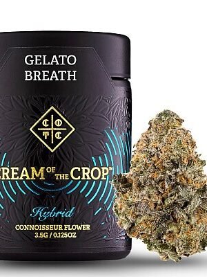 Next Day - Gelato Breath - Jarred (Eighth)